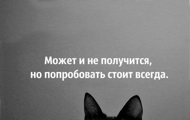   - 31  2014  23:56