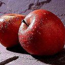 ���� ��������, ������� - ��������� 5 ��� 2014 � ������ ������ ��������