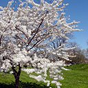 ���� Artem, ����-���, 47 ��� - ��������� 16 ������ 2014 � ������ ������ ��������
