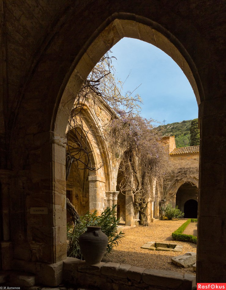   (Abbaye Sainte-Marie de Fontfroide). , .