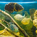  , , 46  -  24  2014      &quot; &quot;