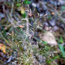 ������ 2014 �� ������� �"...�� ������ ������..."�