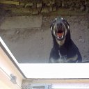 ���� Alex, �����, 50 ��� - ��������� 19 ���� 2014 � ������ ���� ����������