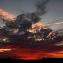 ������������� ������ ���� 2014 �� ������� ������������ �������Ȼ