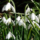 ���� ������, ����, 56 ��� - ��������� 13 ���� 2014