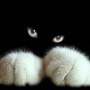  ,  -  28  2014   Foto Sympathy