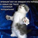 ���� ��������, ������������ - ��������� 8 ������� 2014 � ������ ������ ��������