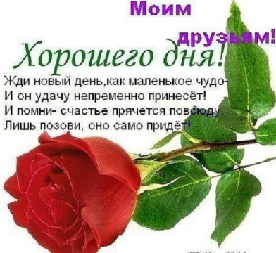 ���� - 16 ������ 2014 � 08:42