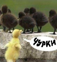���������, �������������, 32 ����
