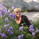 ���� �����, �����������, 53 ���� - ��������� 14 ��� 2014