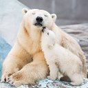 ���� ����, �����-���������, 57 ��� - ��������� 18 ���� 2014 � ������ ���� ����������