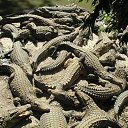 ���� ������, �����-���������, 67 ��� - ��������� 21 ������� 2014 � ������ ������ ��������