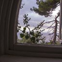 ��� �� ����. ���� �������. �������. �� ������� �������������
