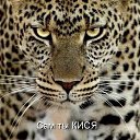 ���� ����, ��������, 45 ��� - ��������� 18 ������ 2014 � ������ ������ ��������