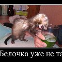 ���� ����, ������ ��������, 64 ���� - ��������� 21 ���� 2014 � ������ ������ ��������