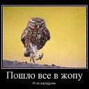 ���� �������, ������, 77 ��� - ��������� 23 ������ 2014 � ������ ������ ��������