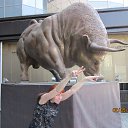 ���� �����, �����������, 56 ��� - ��������� 2 ��� 2014 � ������ ���� ����������