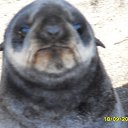 ���� Leonid, ���������, 65 ��� - ��������� 6 ���� 2014