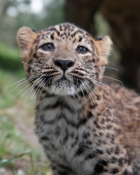 ����� ������� - 27 ���� 2014 � 12:16