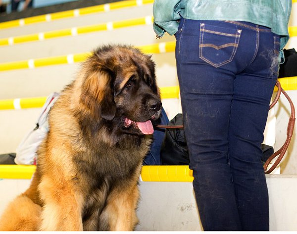 ★    ★ - 12  2014  20:13