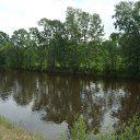 ���� ����, �����������, 53 ���� - ��������� 8 ���� 2014