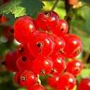 ���� 2014 �� ������� �� ��� - ��������!!!)))�