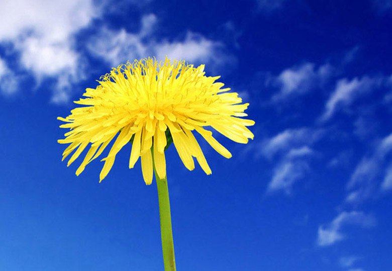 ..  - !!...   ,    - ..!!..... ,  .... ...