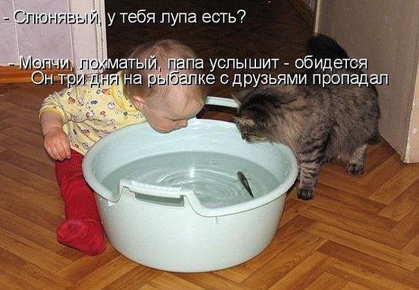  - 10  2014  13:04