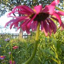  ++, , 55  -  10  2014     