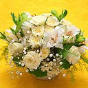 ���� ������, ����������� - ��������� 13 ���� 2014 � ������ ����� ��� ������������