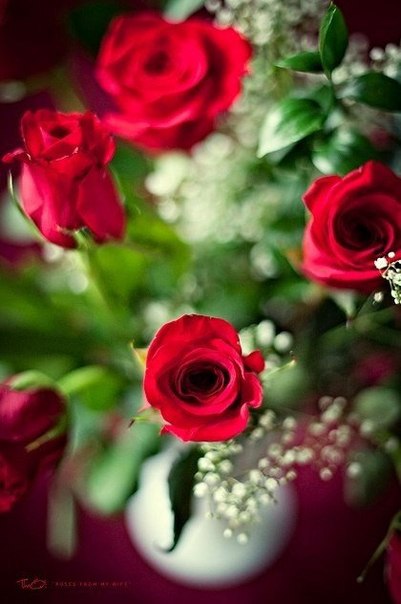        ,         .   ... - 7