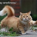 ���� ������, ����, 53 ���� - ��������� 10 ���� 2014