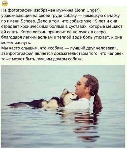 .•°Dogs Forever°•. - 10 августа 2014 в 20:20