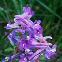 ���� �����, �����, 64 ���� - ��������� 24 ������ 2014 � ������ ������ � �����!�