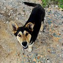 ������-�������) 20.05.2014 �� ������� ������� ��������)))�