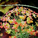 1.06.2014 �� ������� �����ܻ