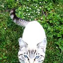  . , ,  .  ,    . .      .        