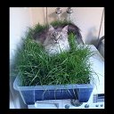 ���� ����, ������ ��������, 64 ���� - ��������� 21 ���� 2014 � ������ ������ ��������