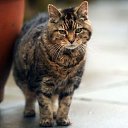 ���� Vinder, ������, 50 ��� - ��������� 12 ���� 2014 � ������ ������ ��������