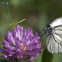 ���� ������, ������ - ��������� 23 ������� 2014 � ������ �������� � �.�.�