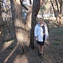 ����� �� ������� ����� 2014 �� ������� ���� ����������