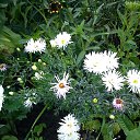 ���� ����, ��������, 54 ���� - ��������� 7 ������ 2014 � ������ �1�