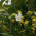 ���� ��������, ������, 72 ���� - ��������� 19 ���� 2014 � ������ ������ ��������