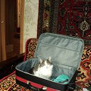 ���� �������, ������ - ��������� 28 ���� 2014 � ������ ���� ����������