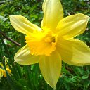 ���� ������, ������������, 55 ��� - ��������� 23 ���� 2014 � ������ ����� 2014�