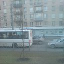 ���� Vasia, �����-��������� - ��������� 15 ������ 2014 � ������ ���� ����������