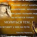 ���� ����������, ������������, 31 ��� - ��������� 16 ����� 2014 � ������ ������ ��������