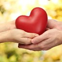 ���� �������, �����-���������, 54 ���� - ��������� 20 ���� 2014 � ������ ���� ����������