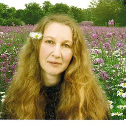 ���� �������, �����-��������� - ��������� 25 ����� 2014