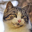 ���� �������, �����, 74 ���� - ��������� 26 ���� 2014 � ������ ���� ����������